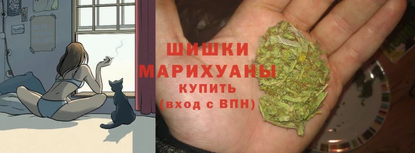ГАЛЛЮЦИНОГЕННЫЕ ГРИБЫ Краснотурьинск