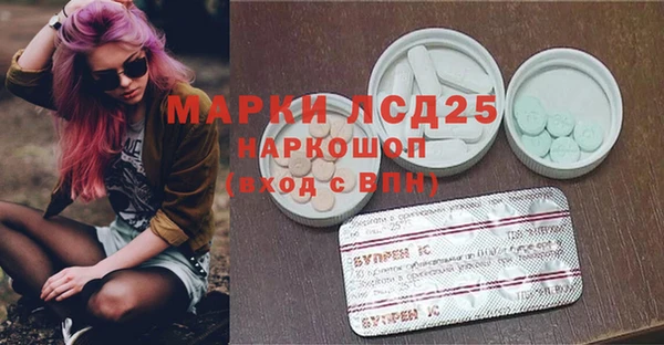 ГАЛЛЮЦИНОГЕННЫЕ ГРИБЫ Краснотурьинск
