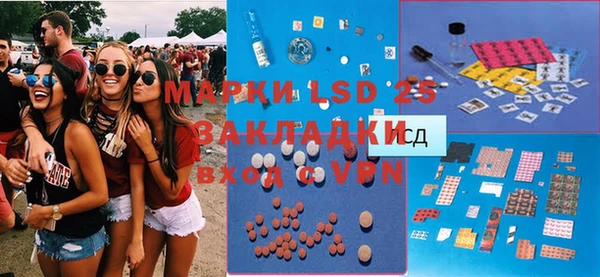 ГАЛЛЮЦИНОГЕННЫЕ ГРИБЫ Краснотурьинск