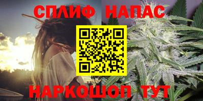 СК Славгород